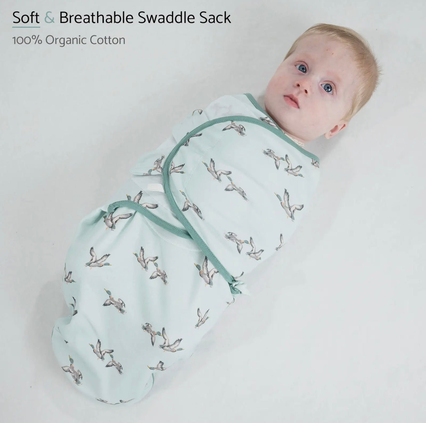Mallard sleep Swaddle